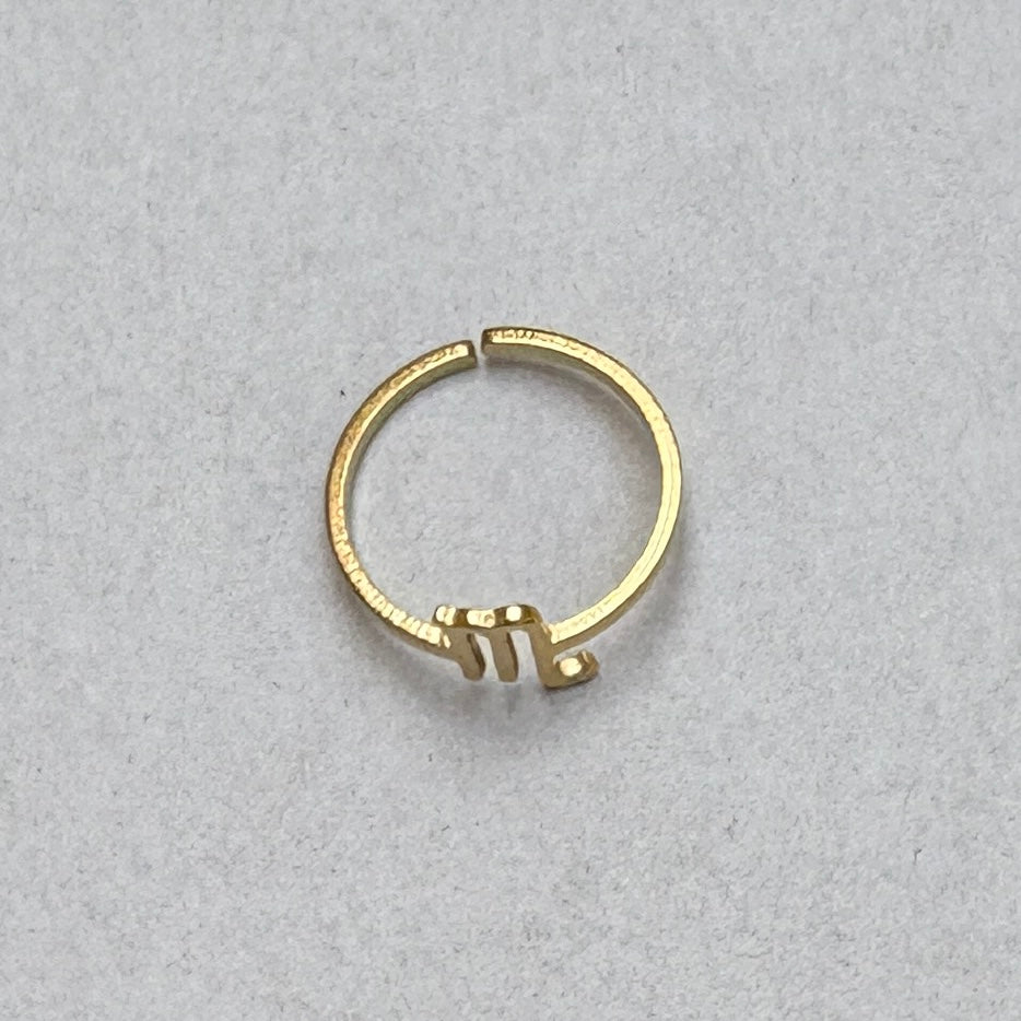 Anillos del Zodíaco
