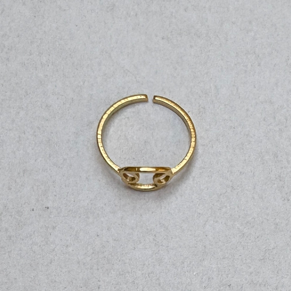 Anillos del Zodíaco