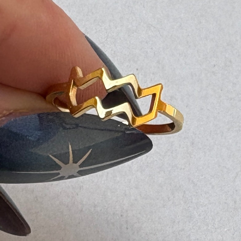 Anillos del Zodíaco