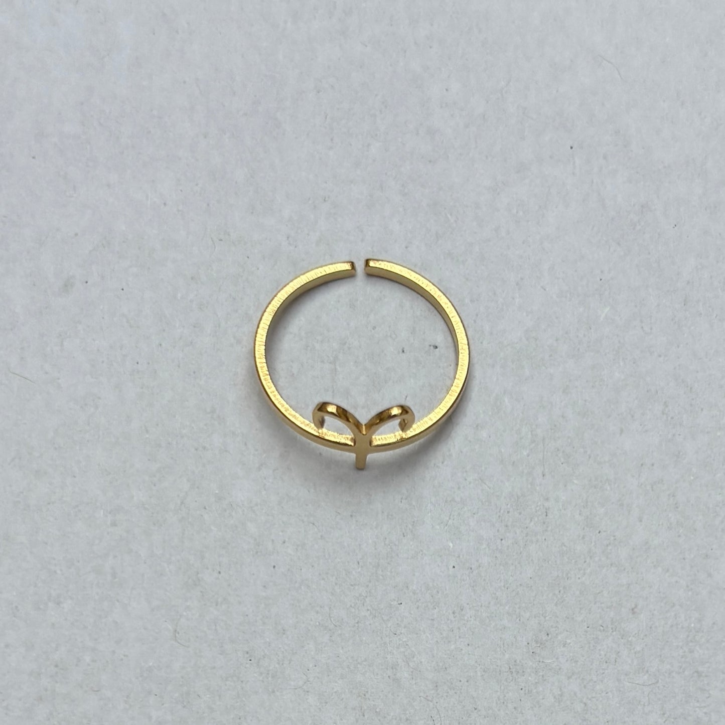Anillos del Zodíaco