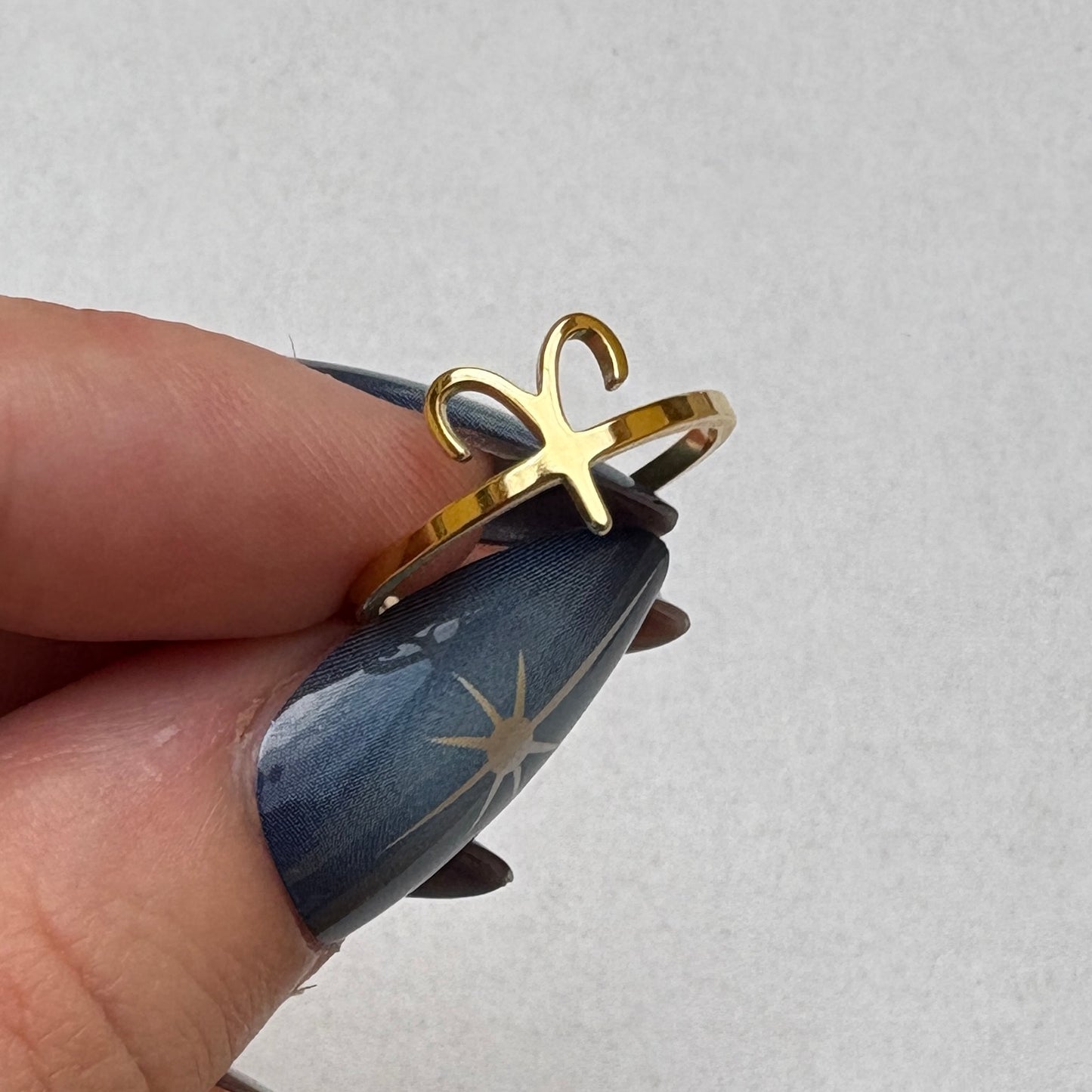 Anillos del Zodíaco