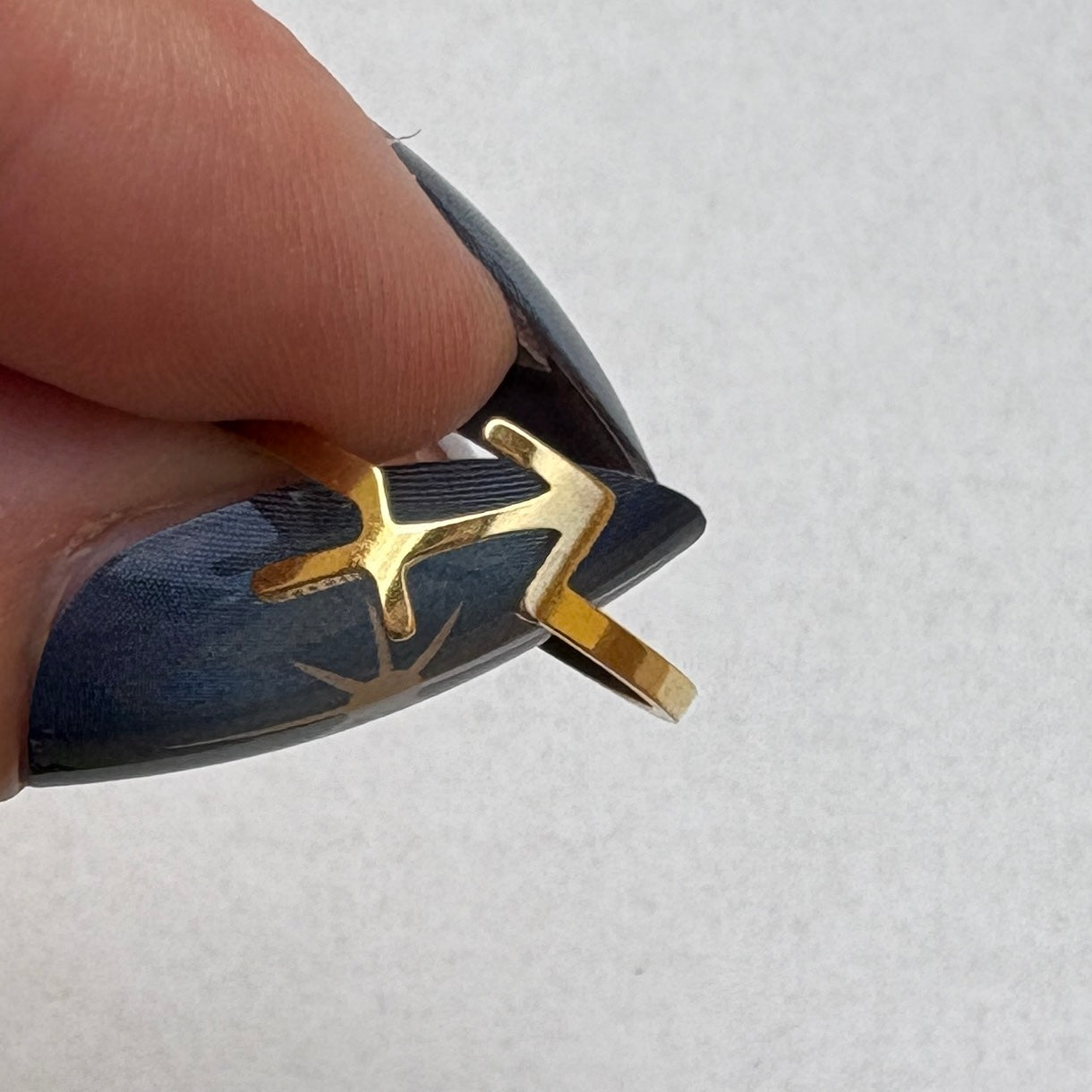 Anillos del Zodíaco