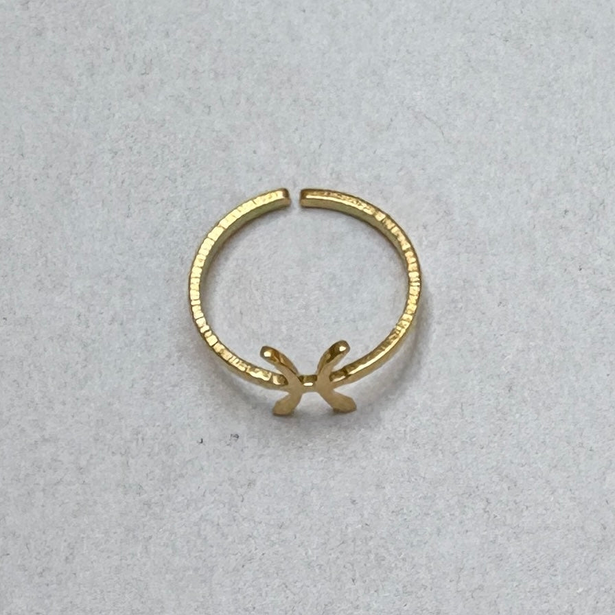 Anillos del Zodíaco