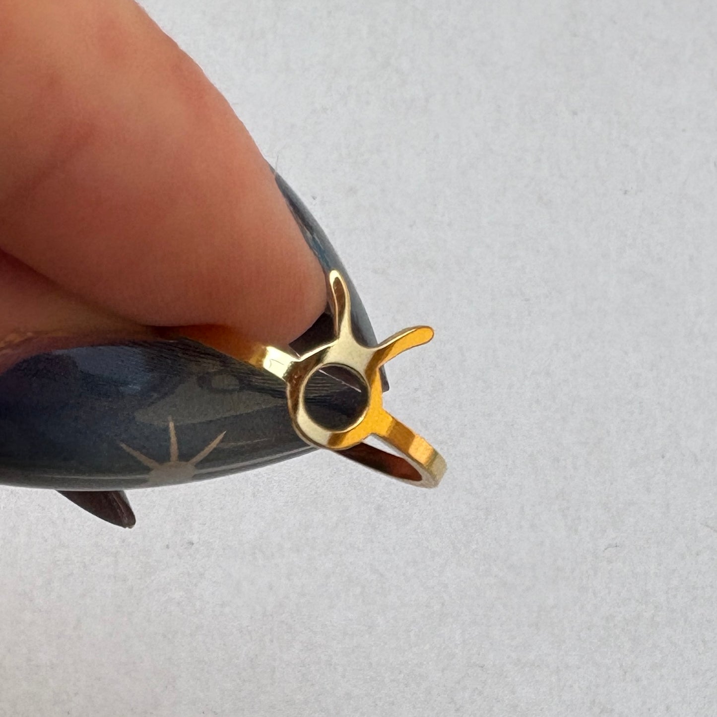 Anillos del Zodíaco